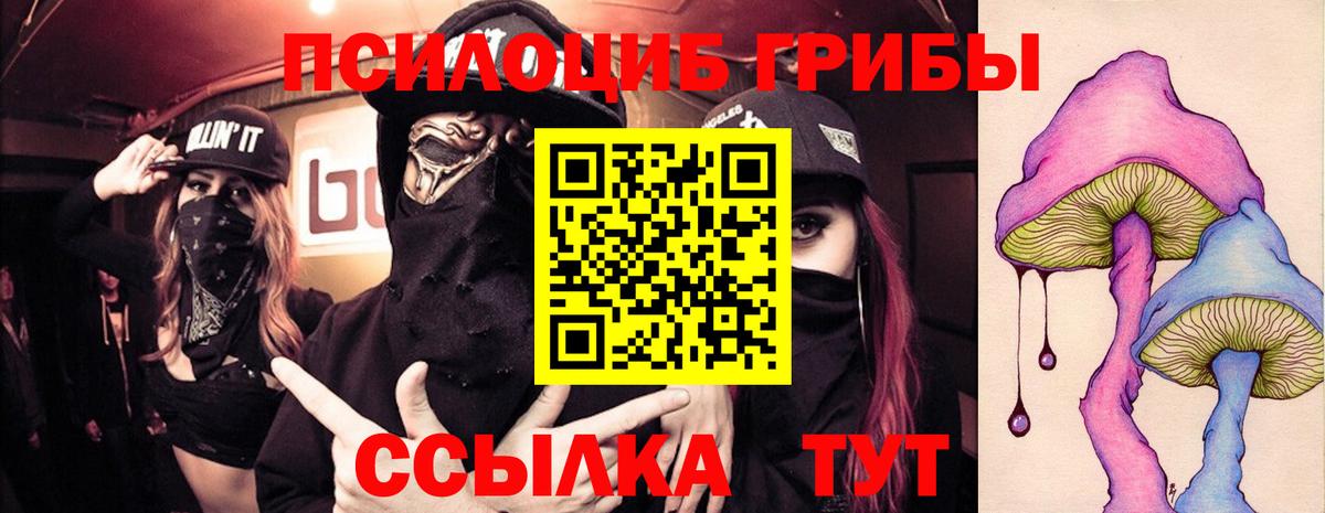 Рубцовск  Галлюциногенные грибы ЛСД  купить наркоту  Вход с VPN 
